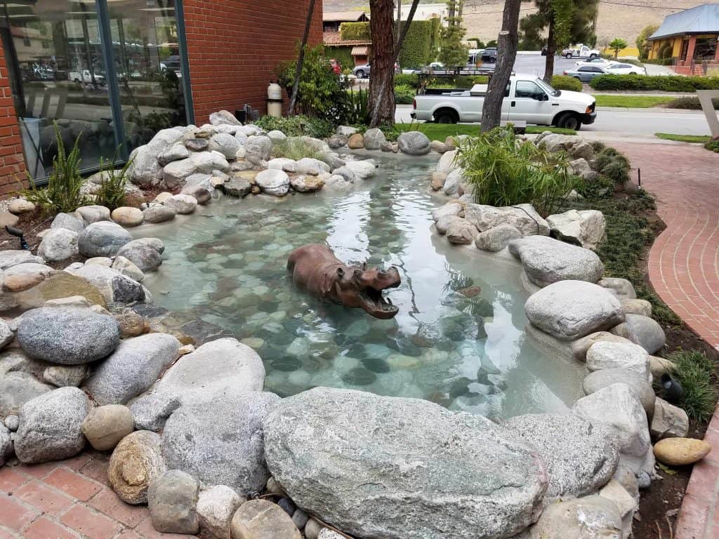 Hippo Pond in Commercial Building - Palos Verdes