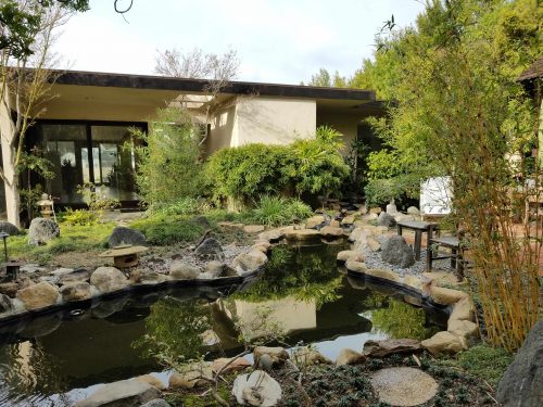 Pond Remodeling