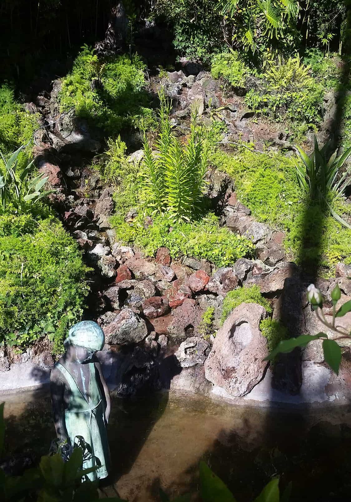 Koi Pond Remodel Sherman Oaks