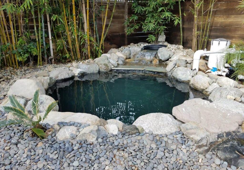 Koi pond remodeled and ready for koi