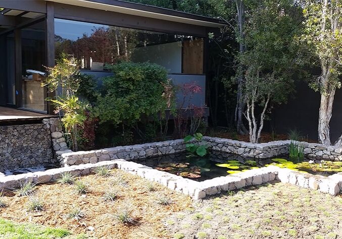 New water garden pond construction with wet wall style waterfall in Pacific Palisades