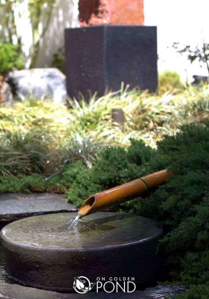 Fountain Maintenance Service Contractor